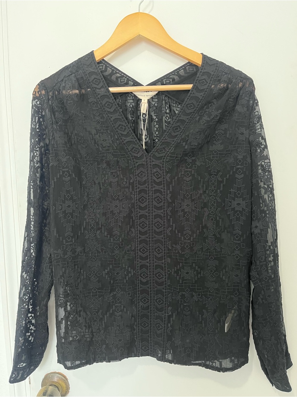 NWT 100% Silk Rebecca Taylor Sheer Embroidered Long Sleeve S